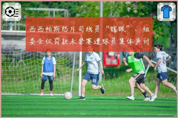 西西帕斯怒斥司线员“瞎眼”，组委会仅罚款未禁赛遭球员集体声讨
